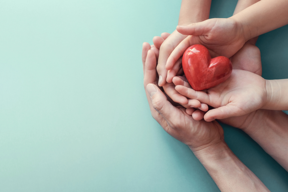 Family,Hands,Holding,Red,Heart,,Heart,Health,Insurance,,Organ,Donation,