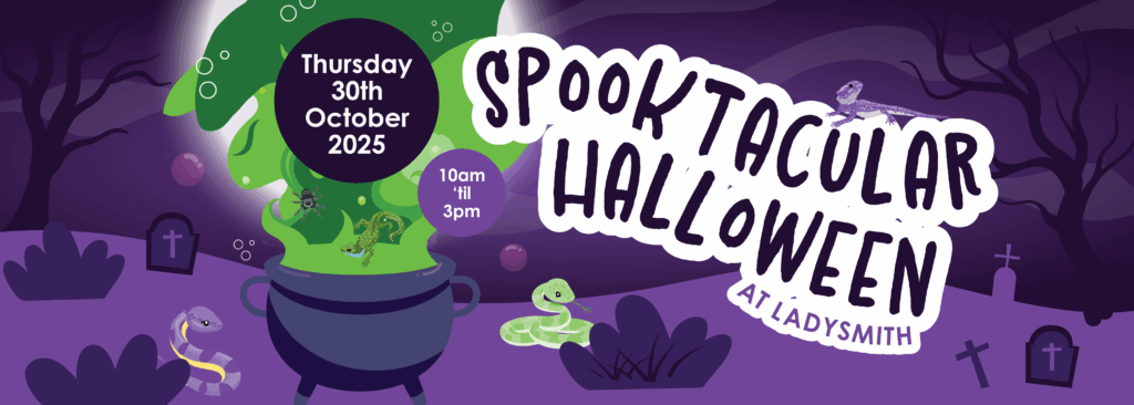 spooktacular halloween graphic